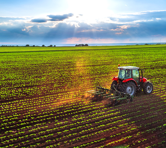 Farm Tractor Plowing Crops